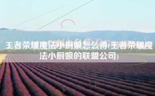 王者荣耀魔法小厨娘怎么得(王者荣耀魔法小厨娘的联盟公司)