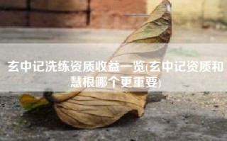 玄中记洗练资质收益一览(玄中记资质和慧根哪个更重要)