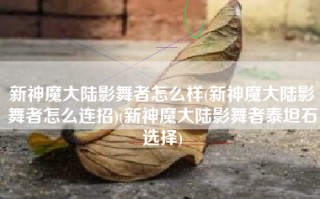 新神魔大陆影舞者怎么样(新神魔大陆影舞者怎么连招)(新神魔大陆影舞者泰坦石选择)