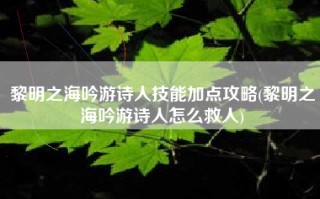 黎明之海吟游诗人技能加点攻略(黎明之海吟游诗人怎么救人)