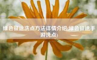 绿色征途洗点方法详情介绍(绿色征途手游洗点)