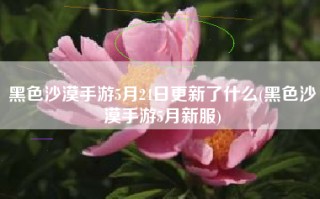 黑色沙漠手游5月24日更新了什么(黑色沙漠手游5月新服)