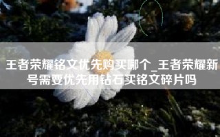 王者荣耀铭文优先购买哪个_王者荣耀新号需要优先用钻石买铭文碎片吗