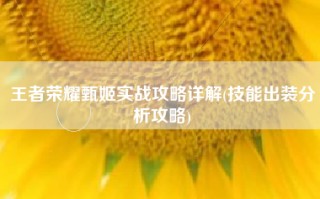 王者荣耀甄姬实战攻略详解(技能出装分析攻略)