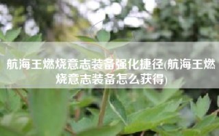 航海王燃烧意志装备强化捷径(航海王燃烧意志装备怎么获得)