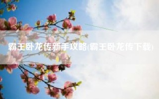 霸王卧龙传新手攻略(霸王卧龙传下载)