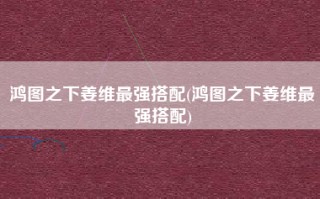 鸿图之下姜维最强搭配(鸿图之下姜维最强搭配)