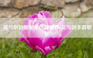 花与剑初始职业选择推荐(花与剑手游职业)