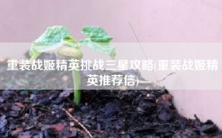 重装战姬精英挑战三星攻略(重装战姬精英推荐信)