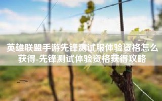 英雄联盟手游先锋测试服体验资格怎么获得-先锋测试体验资格获得攻略