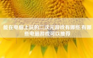 能在电脑上玩的二次元游戏有哪些,有哪些电脑游戏可以推荐