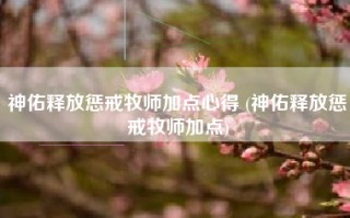 神佑释放惩戒牧师加点心得 (神佑释放惩戒牧师加点)