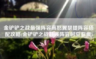 金铲铲之战最强阵容高怒翼瑟提阵容搭配攻略(金铲铲之战最强阵容时空裂痕)
