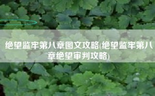 绝望监牢第八章图文攻略(绝望监牢第八章绝望审判攻略)