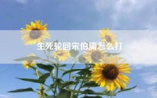 生死轮回宋伯庸怎么打