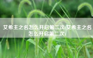 艾希主之名怎么开启第二次(艾希主之名怎么开启第二次)