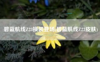 碧蓝航线Z23换装登场(碧蓝航线Z23皮肤)