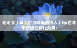 跑跑卡丁车手游猫咪车值得入手吗(猫咪车技能性价比分析)