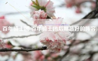 百年骑士团(百年骑士团后期最好的阵容)