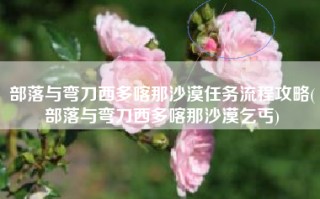 部落与弯刀西多喀那沙漠任务流程攻略(部落与弯刀西多喀那沙漠乞丐)