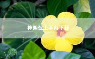 神明在上手游下载
