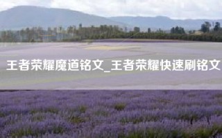 王者荣耀魔道铭文_王者荣耀快速刷铭文