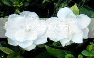 非人学园(非人学园)