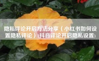 隐私评论开启方法分享（小红书如何设置隐私评论）(抖音评论开启隐私设置)