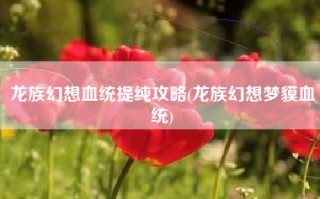 龙族幻想血统提纯攻略(龙族幻想梦貘血统)
