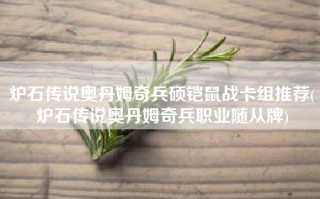 炉石传说奥丹姆奇兵硕铠鼠战卡组推荐(炉石传说奥丹姆奇兵职业随从牌)