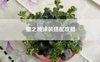 猫之城涂装搭配攻略