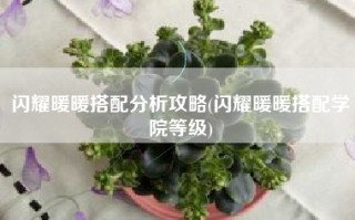 闪耀暖暖搭配分析攻略(闪耀暖暖搭配学院等级)