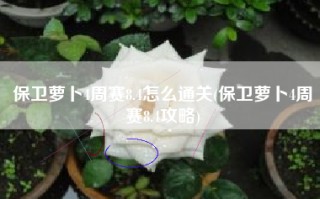 保卫萝卜4周赛8.4怎么通关(保卫萝卜4周赛8.4攻略)