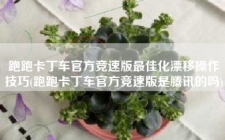 跑跑卡丁车官方竞速版最佳化漂移操作技巧(跑跑卡丁车官方竞速版是腾讯的吗)