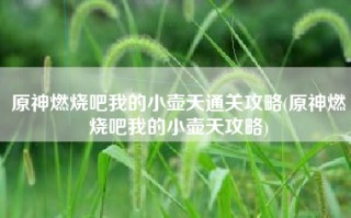 原神燃烧吧我的小壶天通关攻略(原神燃烧吧我的小壶天攻略)