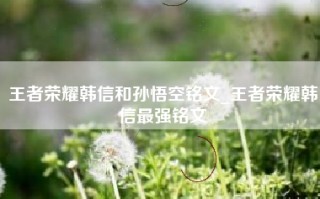 王者荣耀韩信和孙悟空铭文_王者荣耀韩信最强铭文