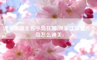 汉家江湖无名小岛在哪(汉家江湖无名小岛怎么通关)