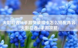 火影忍者OL手游突破暗卡怎么搭配阵容(火影忍者ol手游攻略)