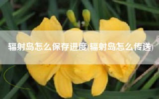 辐射岛怎么保存进度(辐射岛怎么传送)