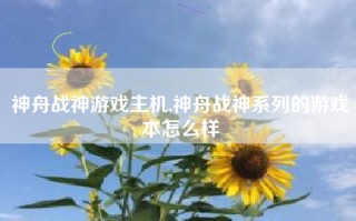 神舟战神游戏主机,神舟战神系列的游戏本怎么样