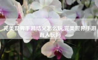 完美世界手游结义怎么玩,完美世界手游有人玩吗