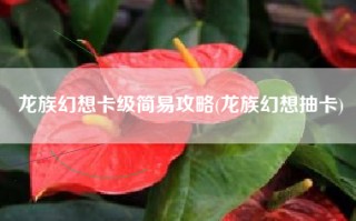 龙族幻想卡级简易攻略(龙族幻想抽卡)