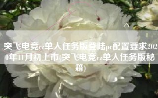突飞电竞cz单人任务版登陆pc配置要求2020年11月初上市(突飞电竞cz单人任务版秘籍)