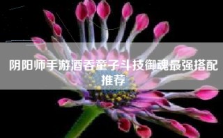 阴阳师手游酒吞童子斗技御魂最强搭配推荐