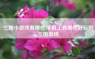 三国小游戏有哪些,手机上有哪些好玩的三国游戏