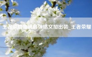 王者荣耀鲁班最强铭文加出装_王者荣耀