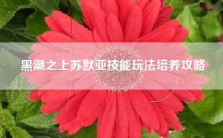黑潮之上苏默亚技能玩法培养攻略