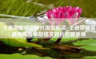 王者荣耀铭文碎片淘宝购买_王者荣耀英雄熟练度领取铭文碎片在哪里领