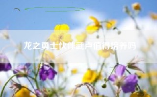 龙之勇士伙伴武卢值得培养吗