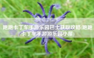 跑跑卡丁车手游乐园巴士获取攻略(跑跑卡丁车手游游乐园小屋)